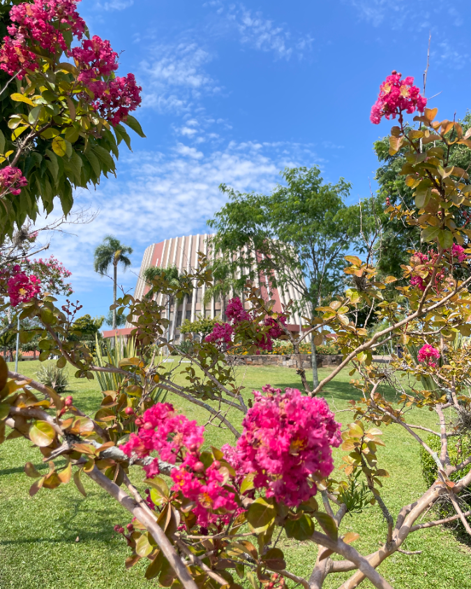 Turismo_Bento's tweet photo. Um dia ensolarado repõe nossas energias! 🌸🌞
Foto: @isacopat
👉 #BentoPuraInspiraçao #TurismoBento #cittadelvino #valedosvinhedos #caminhosdepedra #encantosdeeulalia #valedasantas #cantinashistoricas #bentoemvindima #VisiteBento #Bentolovers #CurtaBento #SerraGaucha https://t.co/6ctLKVha4U