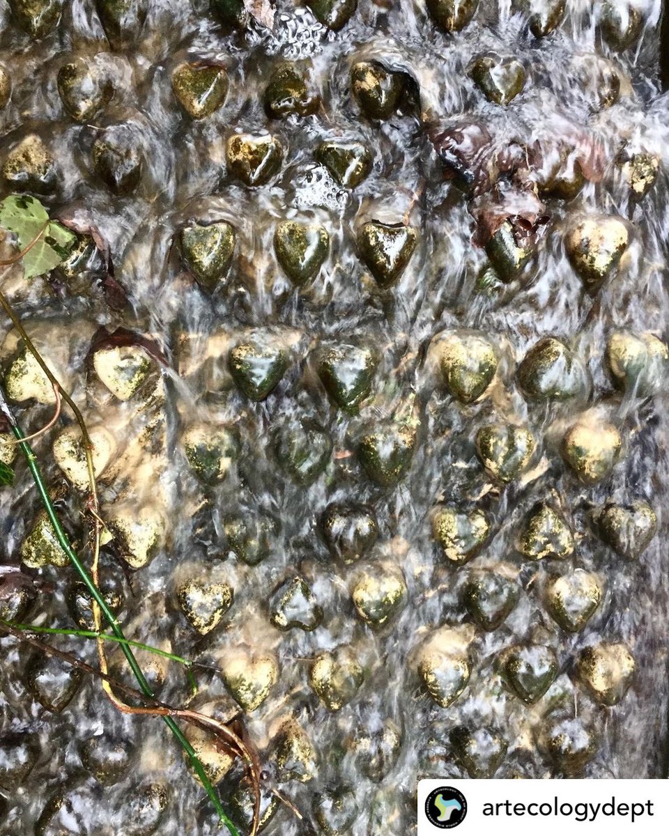 ArtecologyDept's tweet photo. Artecology, is more than just our name….it’s a doing word.
#ecoengineering #hybridnaturebasedsolution #builtinfrastructure #concrete #biodiversity #biodiversitynetgain #integratedgreygreeninfrastructure #bluegreeninfrastructure https://t.co/aY3QlbtxAL