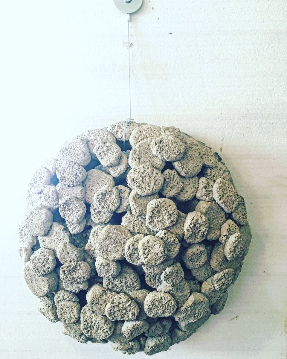 ArtecologyDept's tweet photo. Artecology, is more than just our name….it’s a doing word.
#ecoengineering #hybridnaturebasedsolution #builtinfrastructure #concrete #biodiversity #biodiversitynetgain #integratedgreygreeninfrastructure #bluegreeninfrastructure https://t.co/aY3QlbtxAL