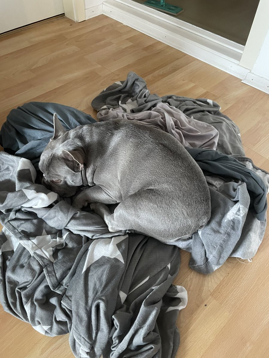 Verstecken kann ich 😛