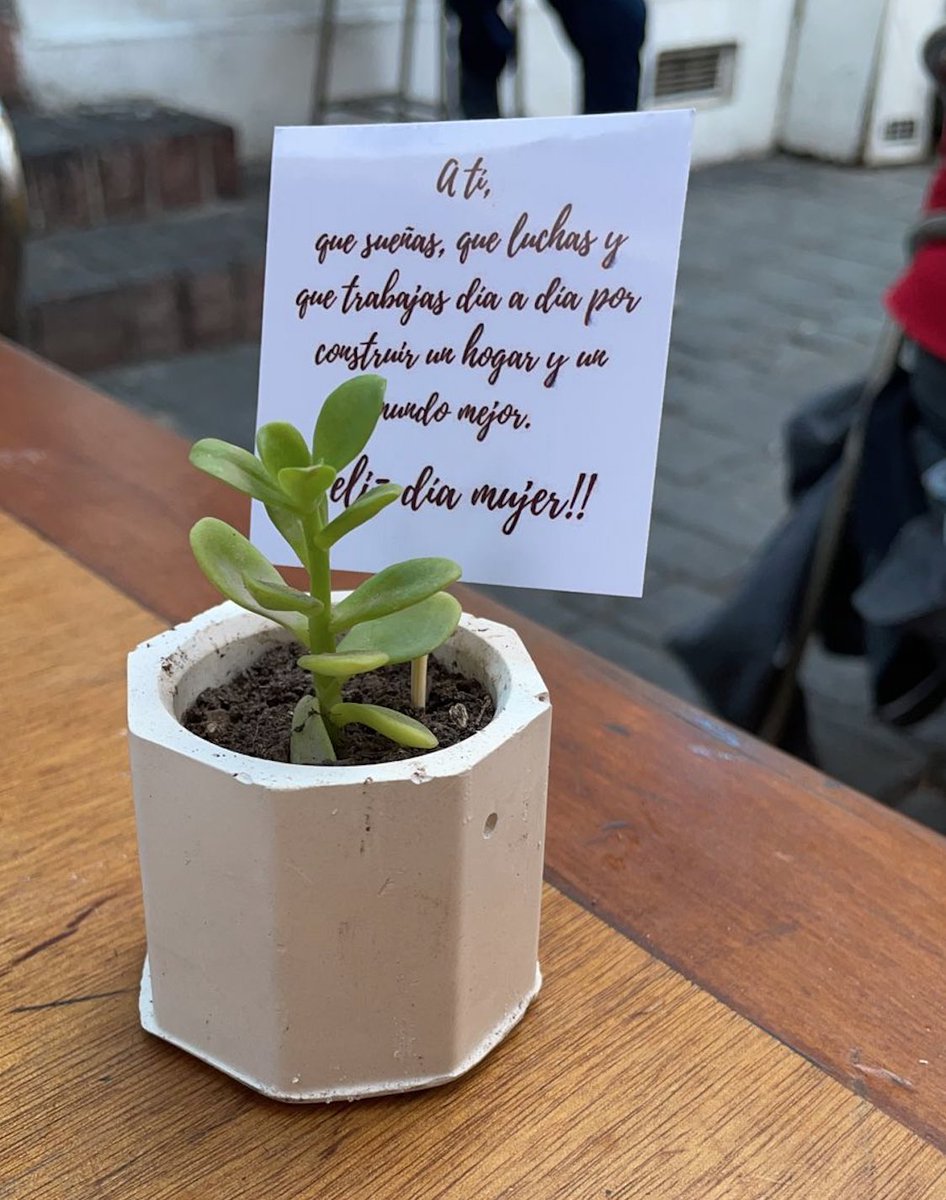 DevelopVentas's tweet photo. “A tí, que sueñas, que luchas y que trabajas día a día por construir un hogar y un mundo mejor: Feliz día internacional de la mujer!!”
#developgestioncomercial https://t.co/lyZzK11vWw