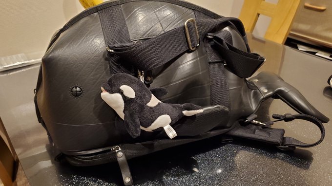 くじらリュック。かわいいでしょーーー 