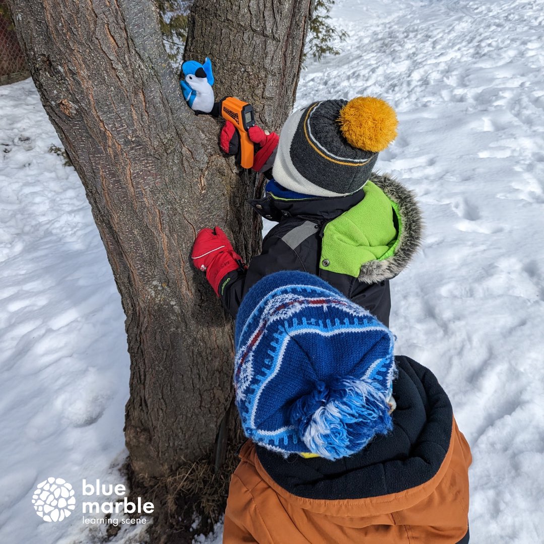 The amazing Kindergarteners at St John Bosco in Brockville braved the cold winds to explore animal adaptations and temperature with us yesterday! #outdoorlearning #science <a href="/ONeducation/">Education Ontario</a>