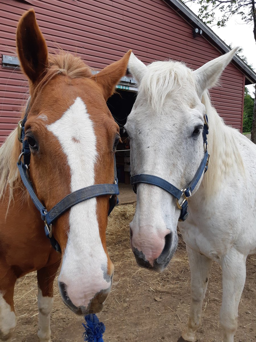 Happy International women's day ❤️