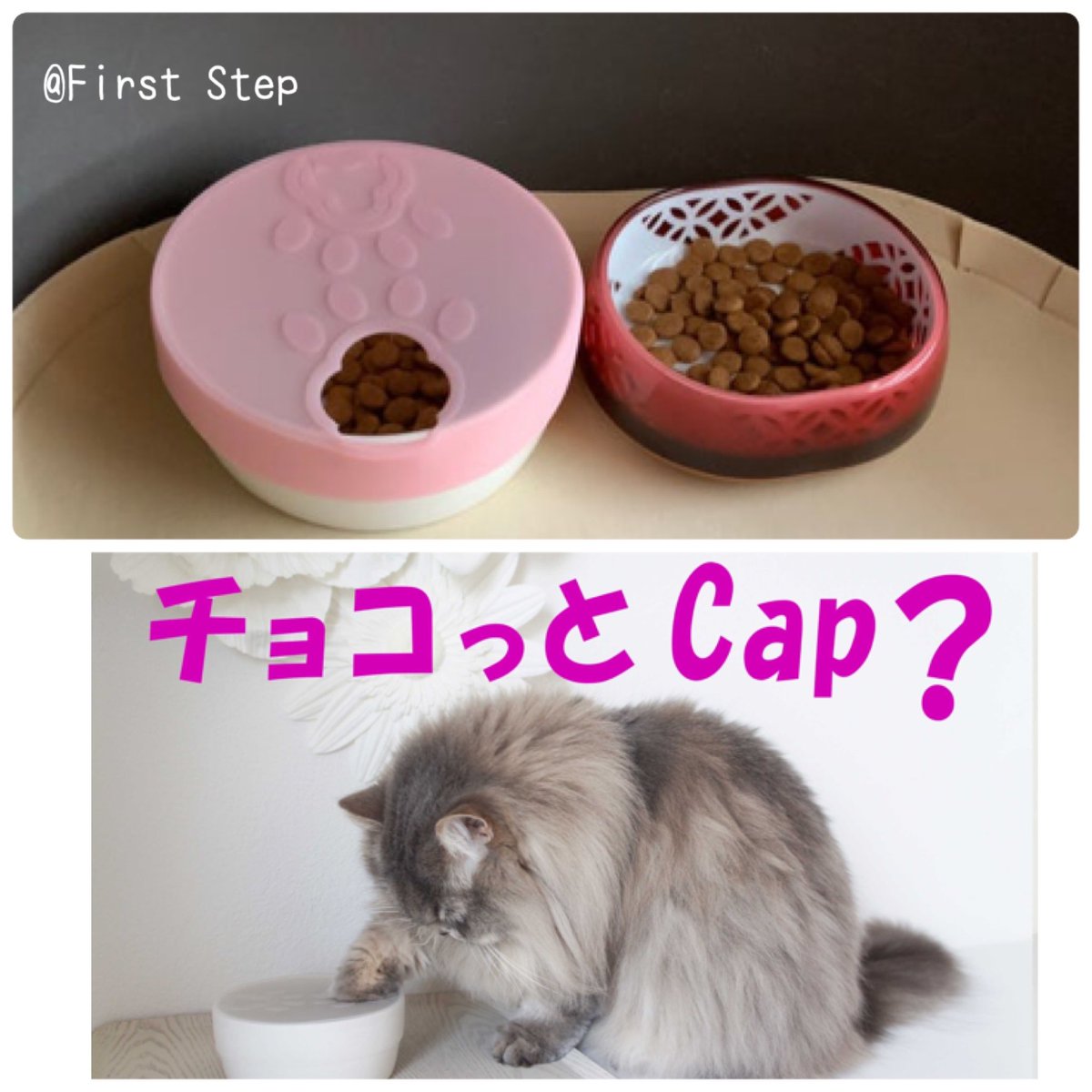 boss_cat60ya's tweet photo. 3/12(日)は🍀ねこecoマルシェ in西宮北口🍀😸2店舗初出店✨

遊びにだけでもぜひご参加下さい♫
スタッフは明るい猫好きばかりなので何でも相談して下さい✨

2店舗初出店
@y.nyanmoさん
First Stepさん
詳細はコメントに書いてます

#保護猫 #譲渡会 #西宮市 #ねこecoマルシェ #eco #ヴィーガン #60家 https://t.co/29LbmflQAF