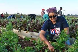 <a href="/DiazCanelB/">Miguel Díaz-Canel Bermúdez</a> #MujeresEnRevolucion,dignas herederas de #Mariana #Mujeres #VotoXTodos #YoVotoPorTodos #FidelPorSiempre #Camaguey <a href="/alfonso_noya/">Alfonso Noya Martínez🇨🇺</a> <a href="/Pedro_ACM/">Pedro Cruz Moiset</a> <a href="/aliciarca/">Alicia SosaVelázquez</a> <a href="/Niurisleidy/">Niurisleidy</a> <a href="/DarinkaPupo/">Darinka Zayas Pupo</a> <a href="/HXCuba/">HÉCTOR ESPINOSA</a> <a href="/cadenagramonte/">Cadena Agramonte</a> <a href="/GuaimaroRadio/">Radio Guáimaro</a> <a href="/emisoranuevitas/">Radio Nuevitas</a> <a href="/radio_sibanicu/">Emisora Radio Sibanicú.</a> @Radiocamaguey <a href="/RadioCubitas/">CMHZ Radio Cubitas</a>