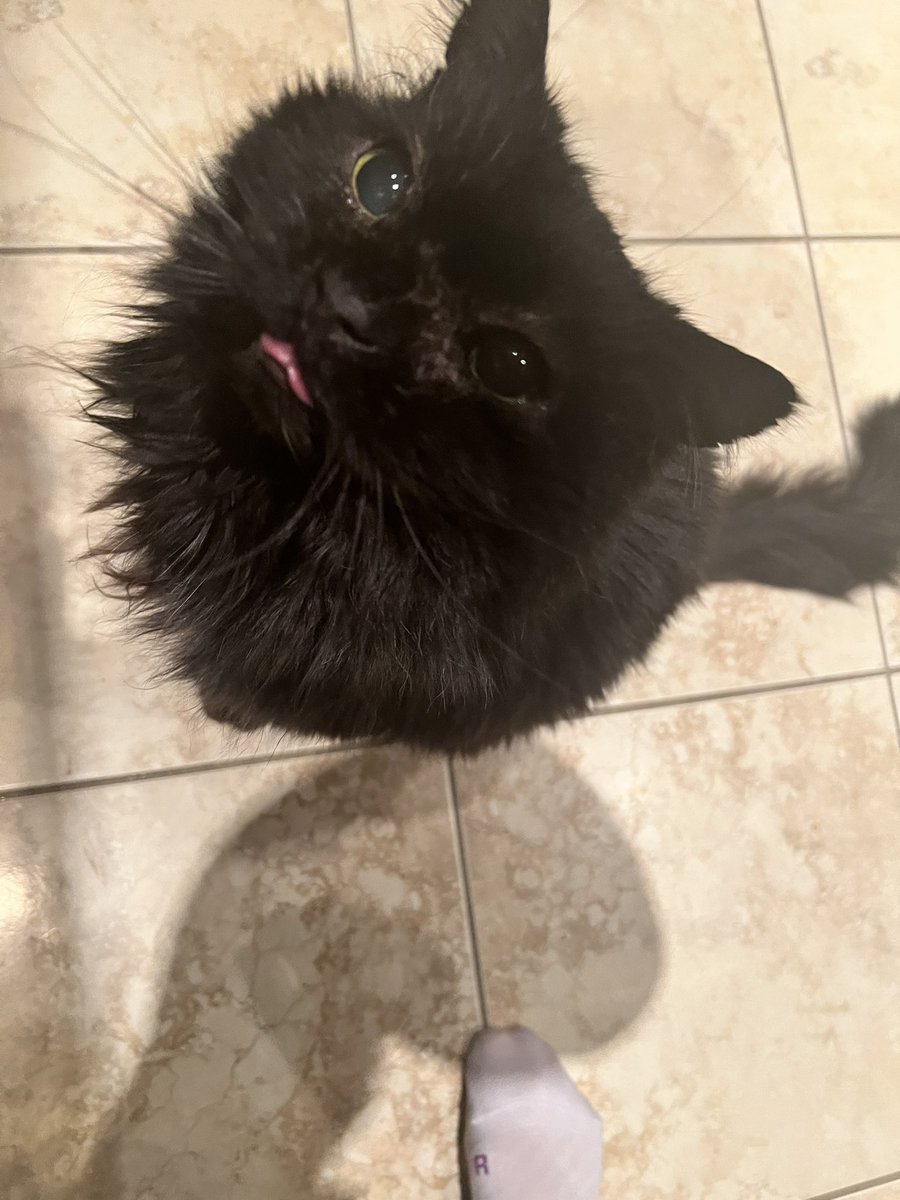 S Luckett G tweet media