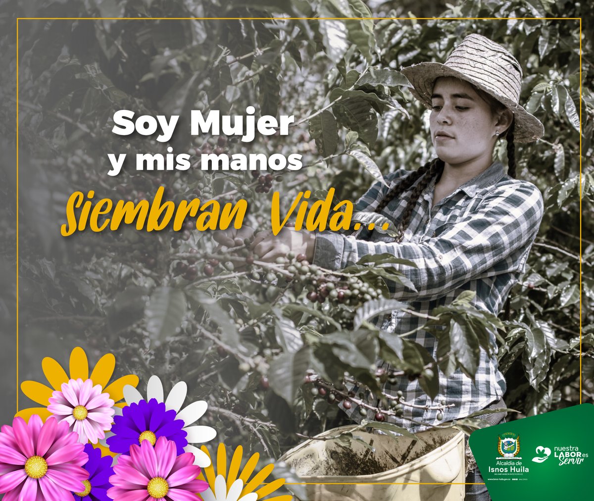 alcaldiadeisnos's tweet photo. #DíaInternacionaldelaMujer| Hoy #8M en la #Alcaldía Isnos, también conmemoramos a todas las mujeres que hacen parte del campo colombiano, porqué son un pilar fundamental para el progreso de nuestro municipio, sociedad y familia. 💚💚💚
 #NuestraLaborEsServir #Isnos https://t.co/M9I7qOak1T