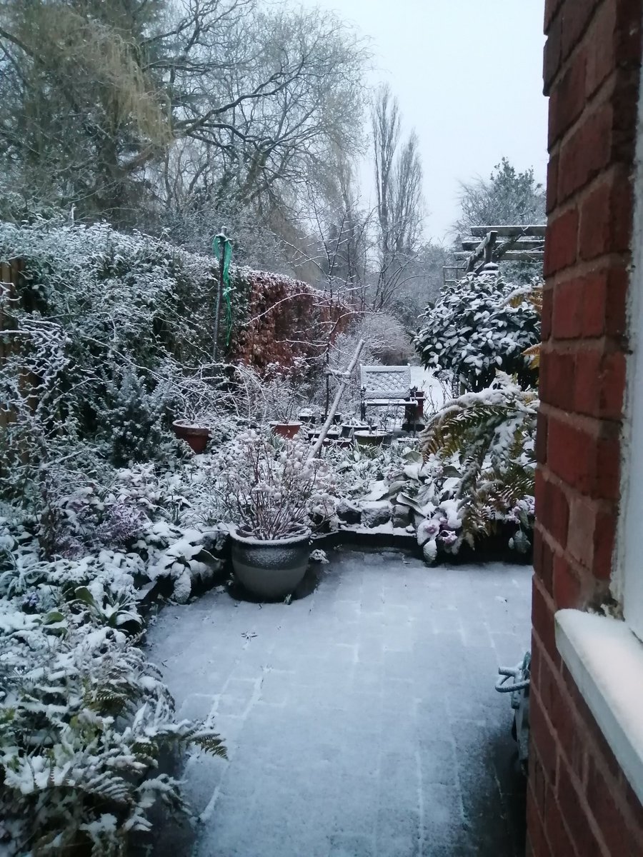 Brum_Rapper's tweet image. Let's hope this lot gets better before we hit the M6 &amp;amp; M62 on Friday on our way to DERT2023