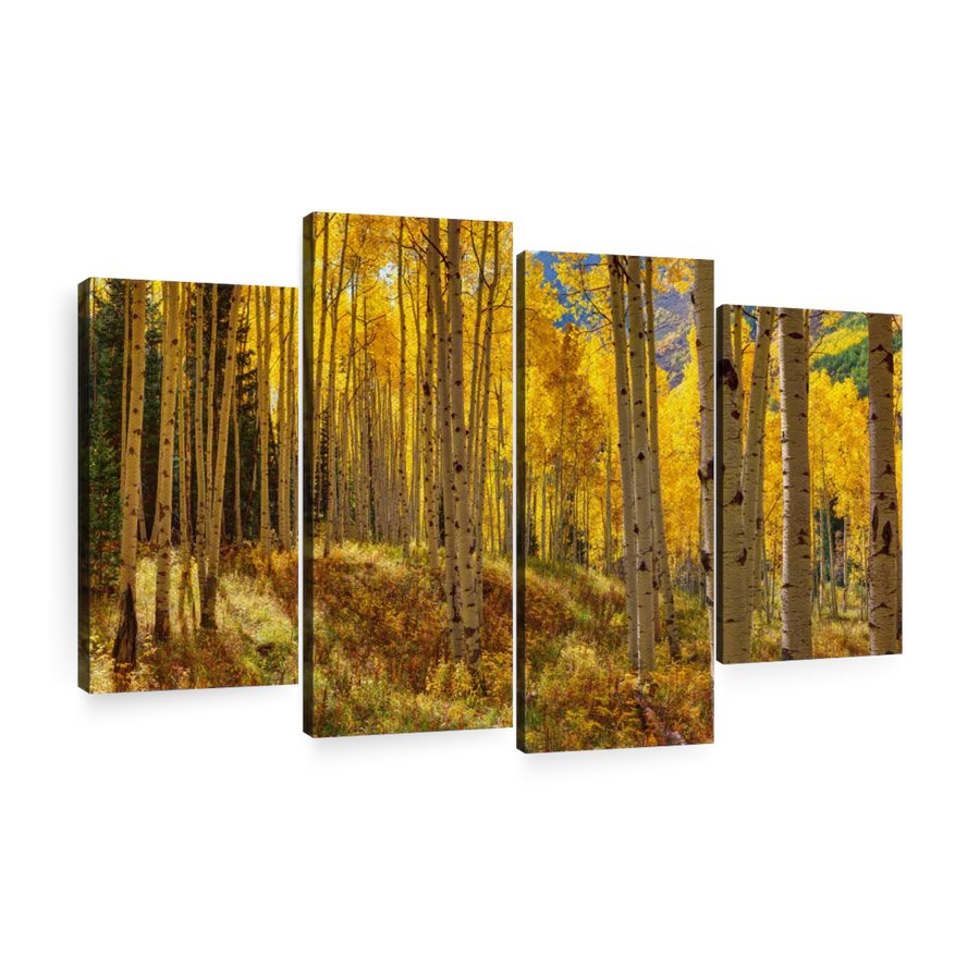 ArtArt45776940's tweet photo. https://t.co/6zwfYjFAqg  Autumn Aspen Forest, Colorado USA Wall Art  #Colorado, #Autumn, #Telluride, #Photography, #Tree, #USA, #Majestic,#BeautyInNature, #ColorImage, #Nature, #Outdoors, #TranquilScene,#TravelDestinations, #olenaart @elephant_stock https://t.co/hL9DT51XGE