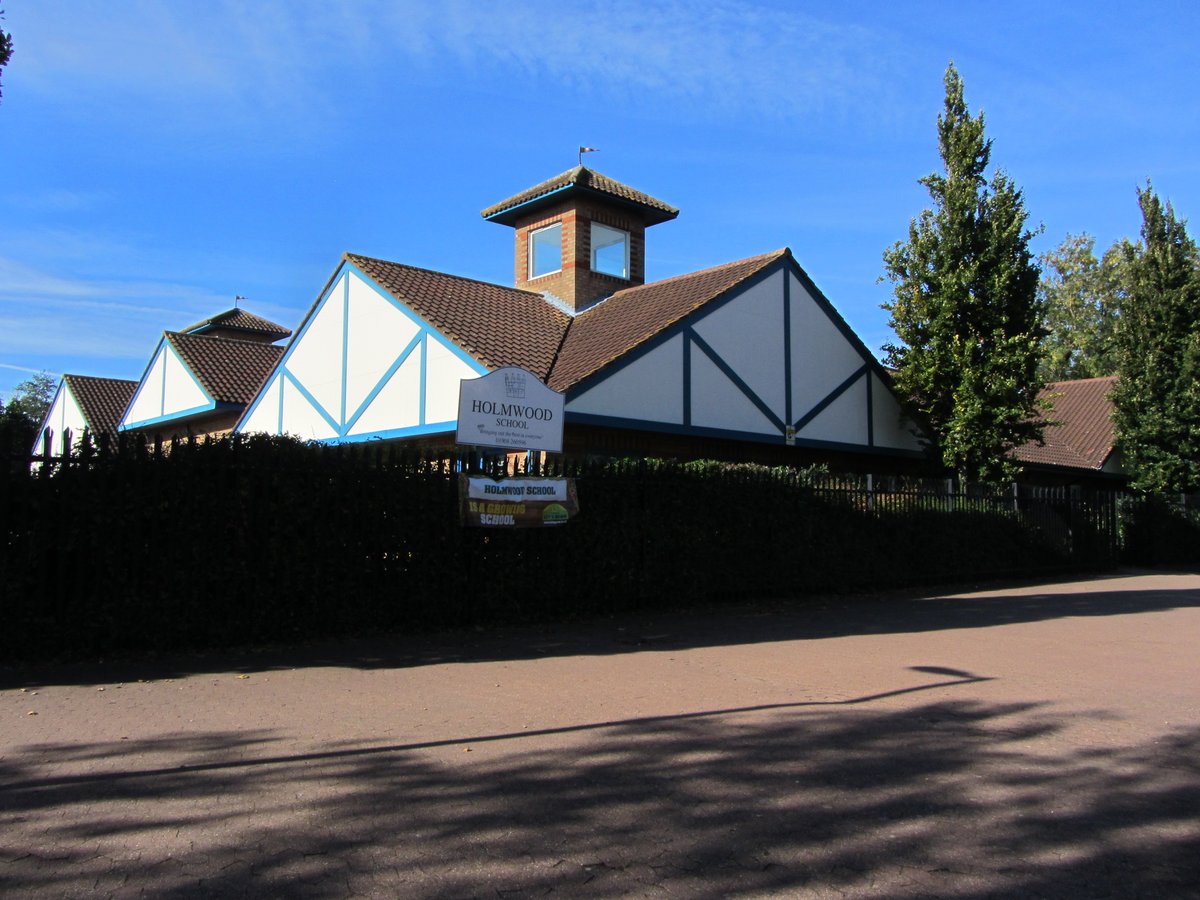 Tim Skelton tweet media