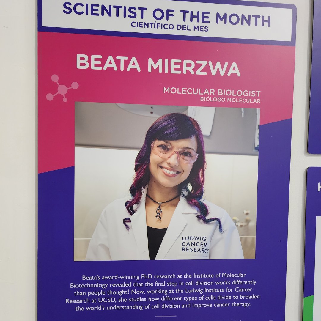 ExWorksMT's tweet image. Happy International Women's Day! Come check out the latest addition to our main exhibit floor - the IF/THEN project! It features women ambassadors in STEM fields. 

#IFTHEN #InternationalWomensDay #IfSheCanSeeItSheCanBeIt #WomenInSTEM #ExplorationWorks #HelenaMT