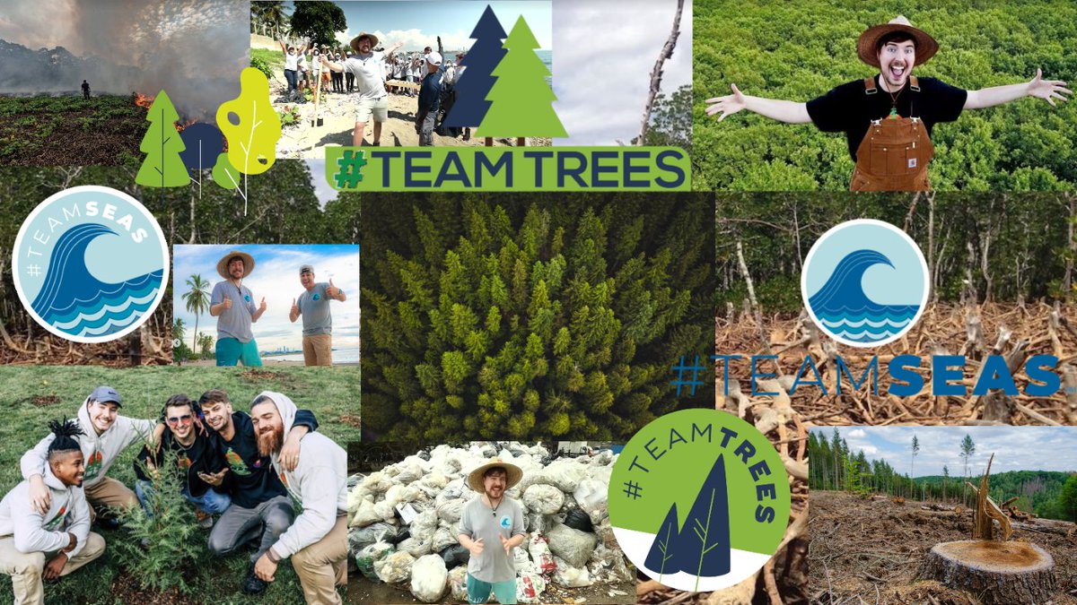 I was bored so I made this on my school computer lol 
Donate to TeamSeas and TeamTrees
#teamtrees #teamseas #donate @MrBeast @teamtreesofficl @teamseas @MrBeastBurger @Feastables @KarlJacobs_ @chris @ChandlerHallow