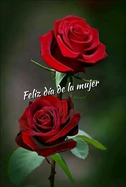 <a href="/juanmanuel_cuba/">Juan Manuel Rodríguez Vázquez</a> <a href="/CubaMINREX/">Cancillería de Cuba</a> <a href="/EmbaCubaKenia/">Embassy of Cuba in Kenya</a> <a href="/EmbacubaUganda/">EmbaCuba Uganda</a> <a href="/EmbaVEKenia/">Embassy of Venezuela in Kenya</a> <a href="/xiques1502/">Tania Pérez</a> <a href="/InesMChapman/">Inés María Chapman Waugh</a> <a href="/aleidita61/">Edis Curbelo Garcia</a> <a href="/maydolis_sosa/">Maydolis Sosa Hilton</a> <a href="/lamoros2017/">Luis Alberto Amorós Núñez</a> <a href="/AMO_icap/">AfricaMedioOrienteICAP</a>