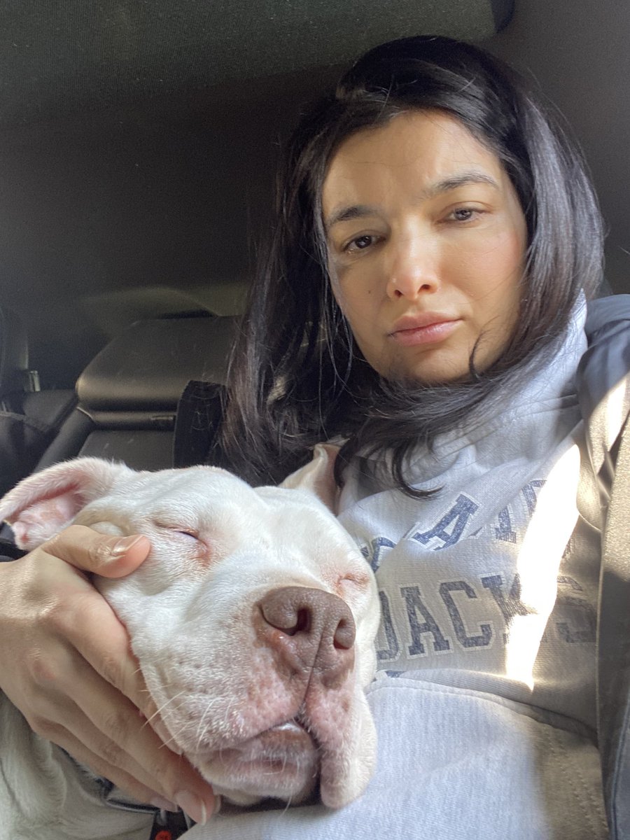 Taras Grosh, MD🇺🇦🇦🇫🏳️‍🌈 tweet media