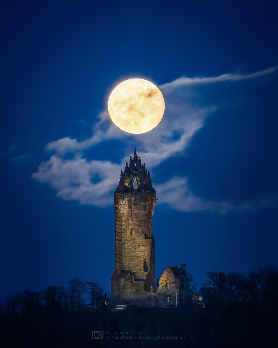The National Wallace Monument tweet media