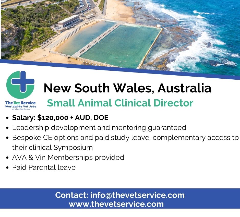 Small Animal Clinical Director in New South Wales, Australia🐶

thevetservice.com/vet-jobs-austr…

#thevetservice #vetstudents #vet #veterinarymedicine #veterinarysurgeon #vetlifestyle #vetlife #vetlocum #vetjob #vetjobs