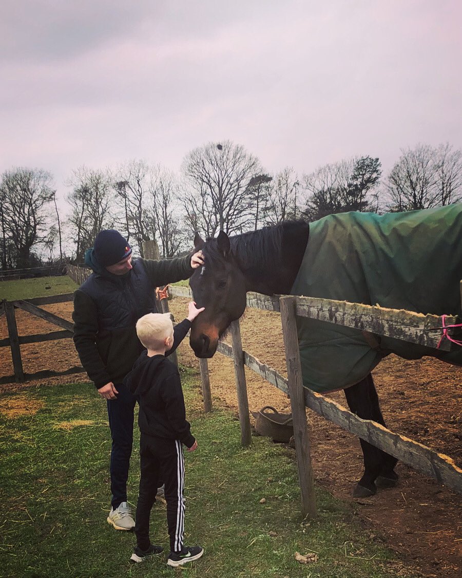 When you pay a visit to an old friend! Noble Peace my first winner as a trainer #exracehorse #oldfriend #sonsfavourite #horseracing #noble #peace #retirement #relaxed #field #beingahorse #bestboy #firstwinner #racehorsetrainer #enjoyyourself #enjoyyourretirement #momentswelivefor