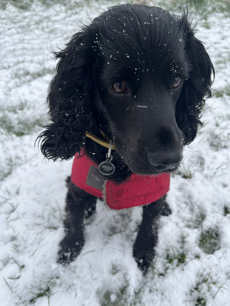 Emily Moss tweet media