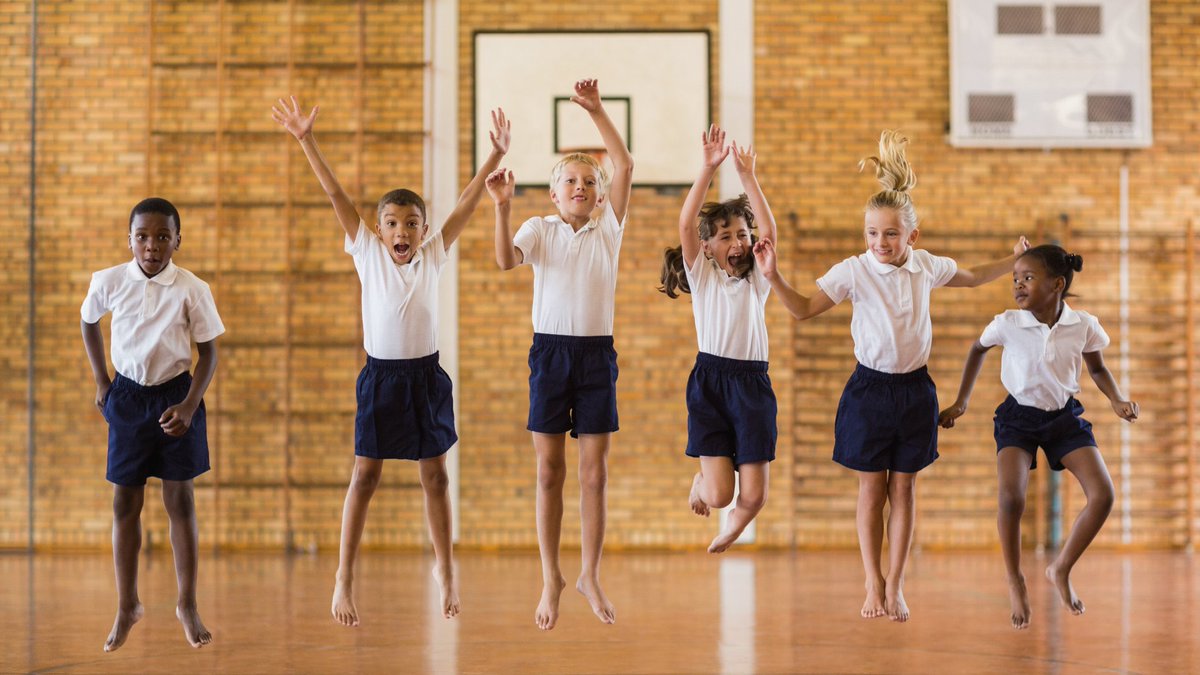 We’re thrilled to share the news that the Government has committed over £600 million to ensure the continuation of the Primary PE and Sport Premium. 

Download our free toolkit to find out more! hubs.li/Q01FS0590

#pe #sport #government #mentoring #letgirlsplay #equalaccess