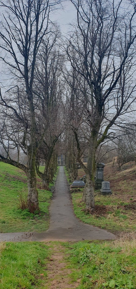 Emma_lynn_88's tweet photo. A walk round in the snow today #picoftheday #PictureOfTheDay #stalybridge #snow #snowday #church #graveyard https://t.co/RBQNARReD4