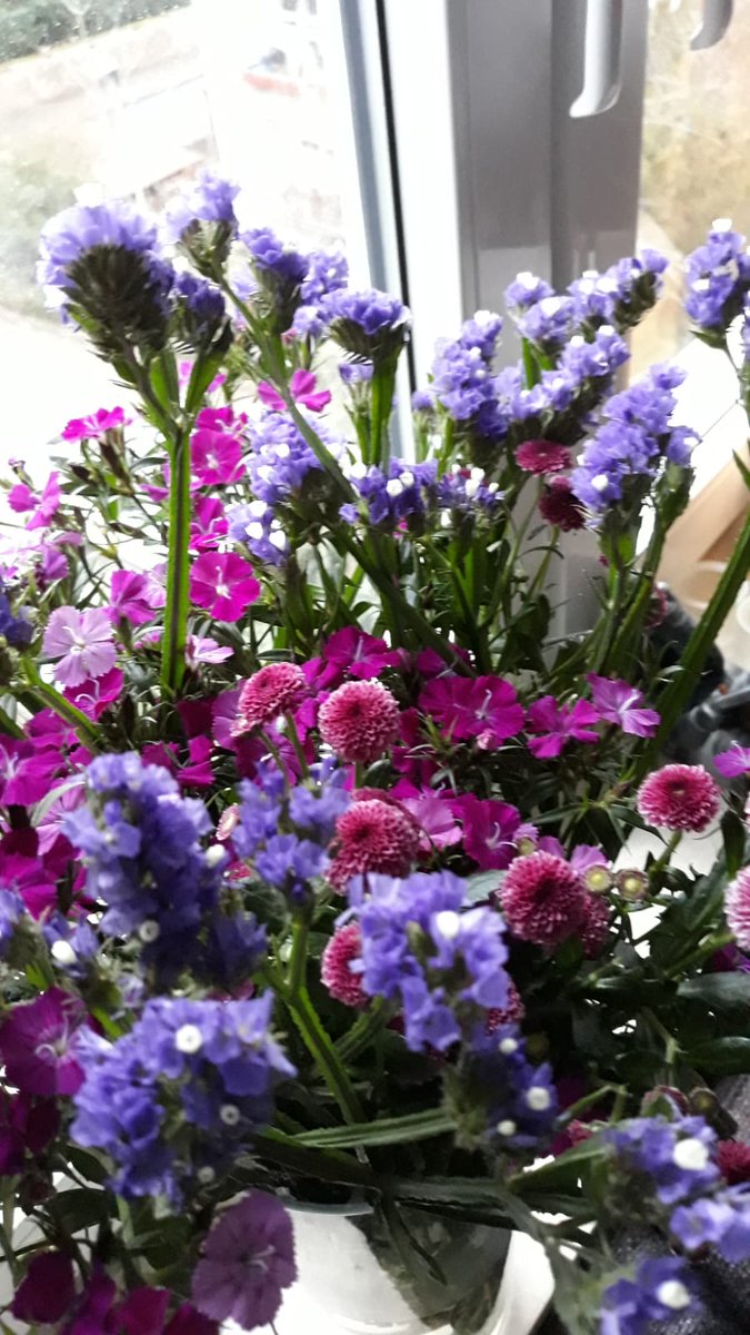 spiess_c's tweet photo. Happy Holi! As it is grey, cold and rainy in Germany, I brought some flowery colours home. Some consolation at least. https://t.co/DHAIW8mxjw