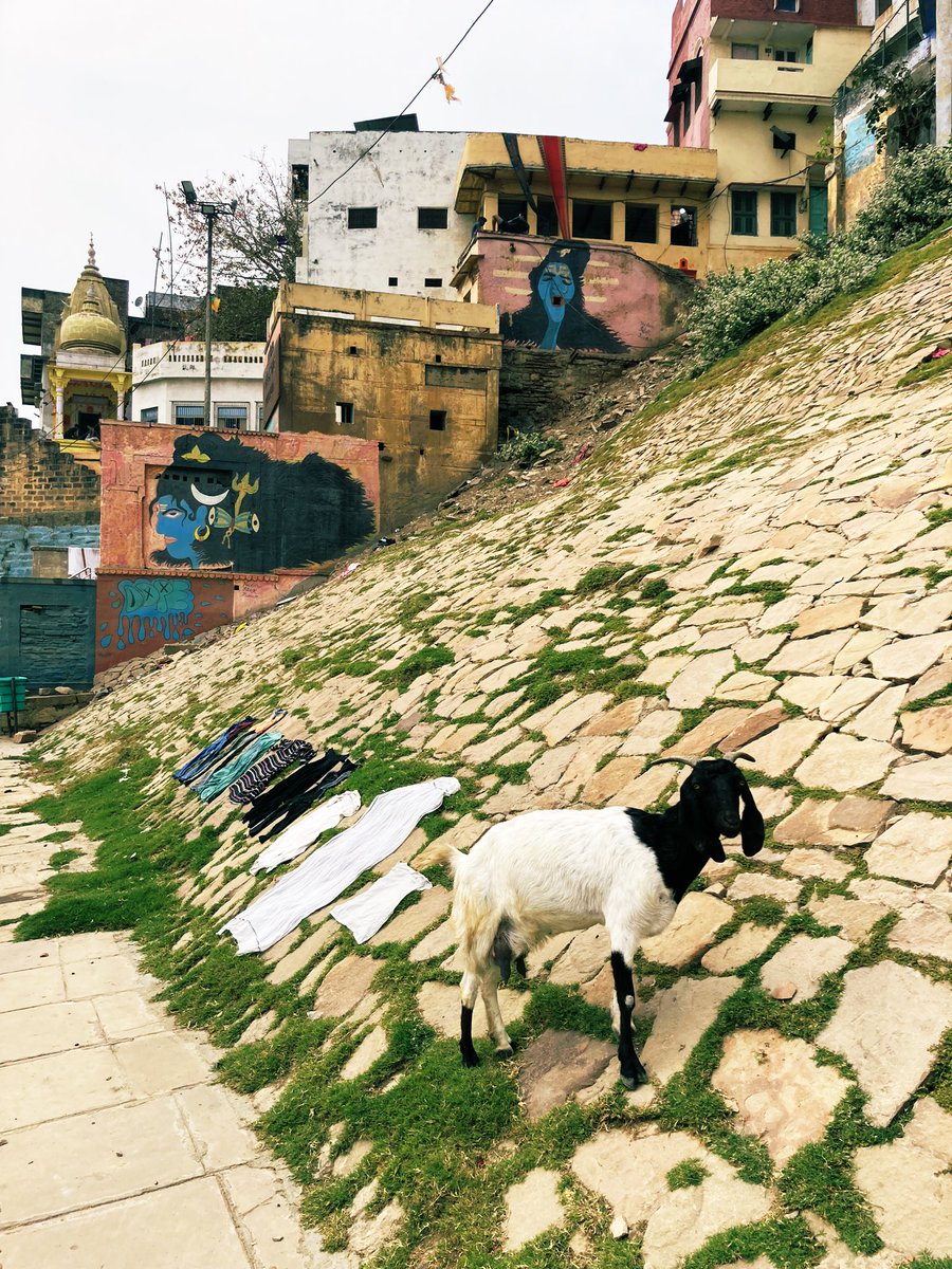 fotobaba's tweet photo. Frames from the Ghat #Varanasi https://t.co/Y66K1lBj6U