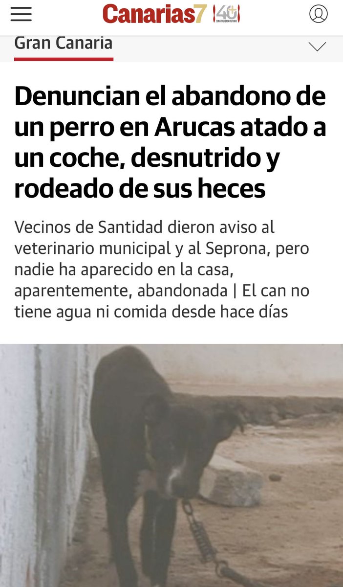 VrCarla's tweet photo. ¿Para que tanta ley si luego los dejamos en el olvido? Este perro lleva dias así y ninguna institución pública hace nada por el. Denuncias puestas,llamadas a la policia, ayuntamiento y sigue en el mismo lugar.. 
#AyudaAnimal 
@RadioArucas @SepronaNoticias @jfacsua https://t.co/MqOOwx1lLT