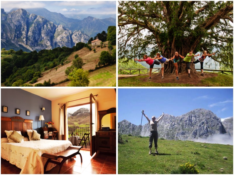 SpanSteps's tweet photo. Yoga in Spain &amp; Camino del Norte Pilgrimage - https://t.co/yzP6lP5I7q https://t.co/8Ne0TuQisf