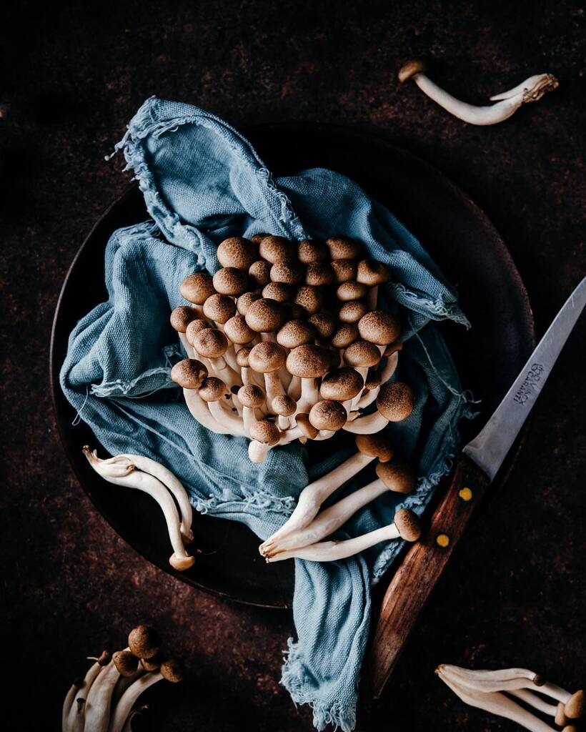 Confitbanane's tweet photo. Sinon il arrive quand le printemps ? 

#champignons #mushrooms #mushroomsphotography #photoculinaire #photographe64 #photographeculinaire #stilllifefoodphotography #stilllifefood https://t.co/EMeXAZuLCj