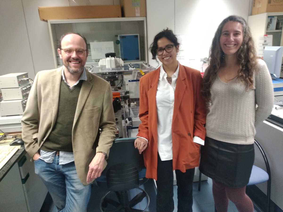 Constança passing her PhD defense today marks the end of this fantastic ITN adventure. To paraphrase the saying, it takes a consortium of AFM scientists to rise a PhD cohort. #Phys2Biomed