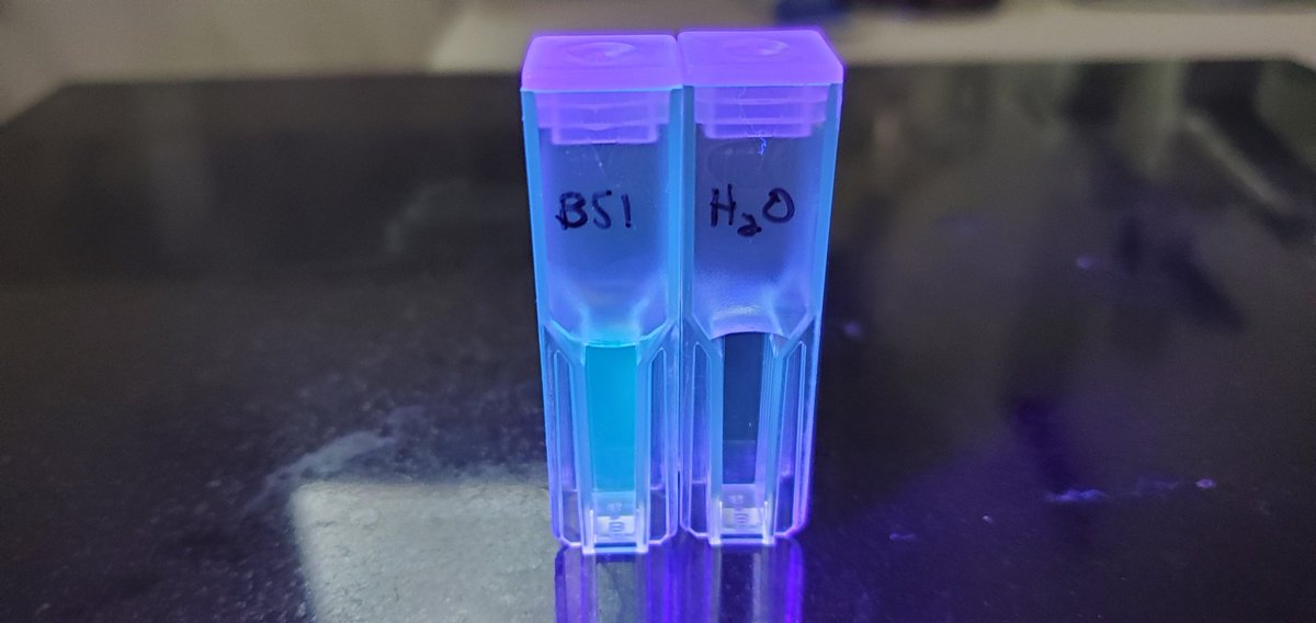 Sebastian S. Cocioba🪄🌷 tweet media