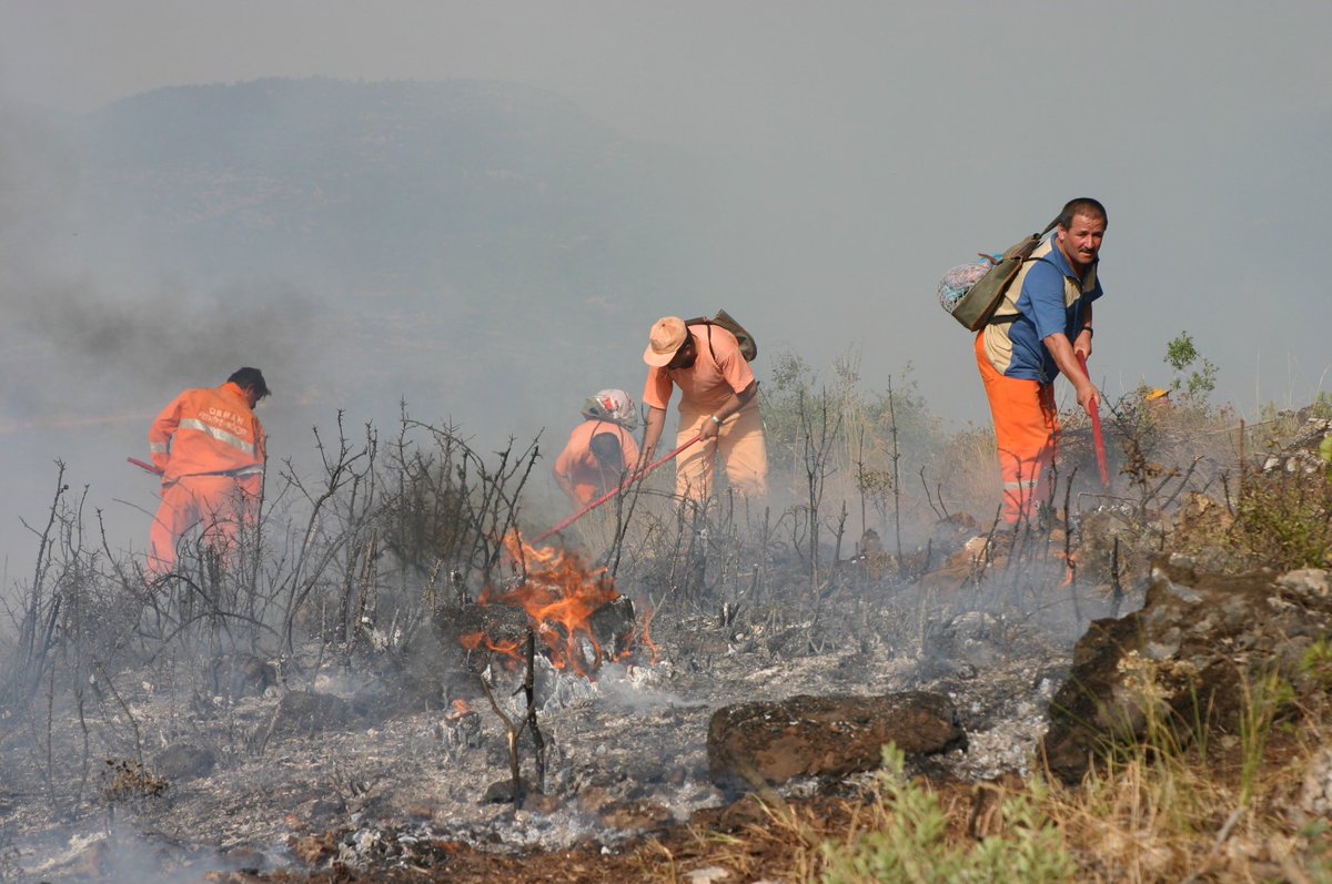 #OrmaniscilerineKADRO

<a href="/RTErdogan/">Recep Tayyip Erdoğan</a> 
<a href="/TBMMresmi/">TBMM</a> 
<a href="/vedatbilgn/">Vedat Bilgin</a> 
<a href="/settaraslan/">Settar Aslan</a>