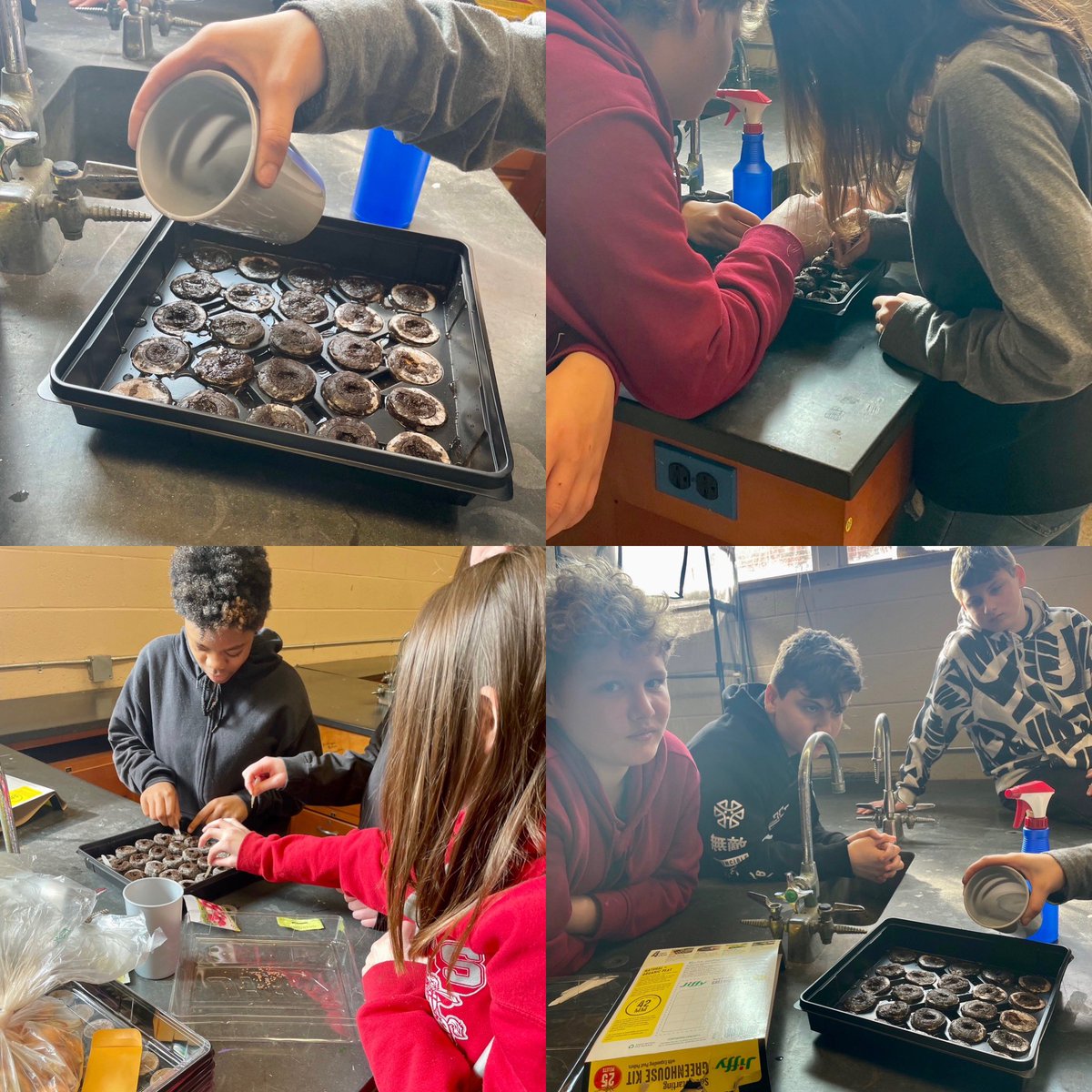 AltCabell's tweet photo. Crossroads Academy students taking part in the junior gardening program through the WVU extension service. They are learning the basics of seed starting and the workings of a green house. We can’t wait to watch our garden grow! 
#MyCabellSchools
#CrossroadsAcademy
#greenthumbs https://t.co/zgSFoZssTz