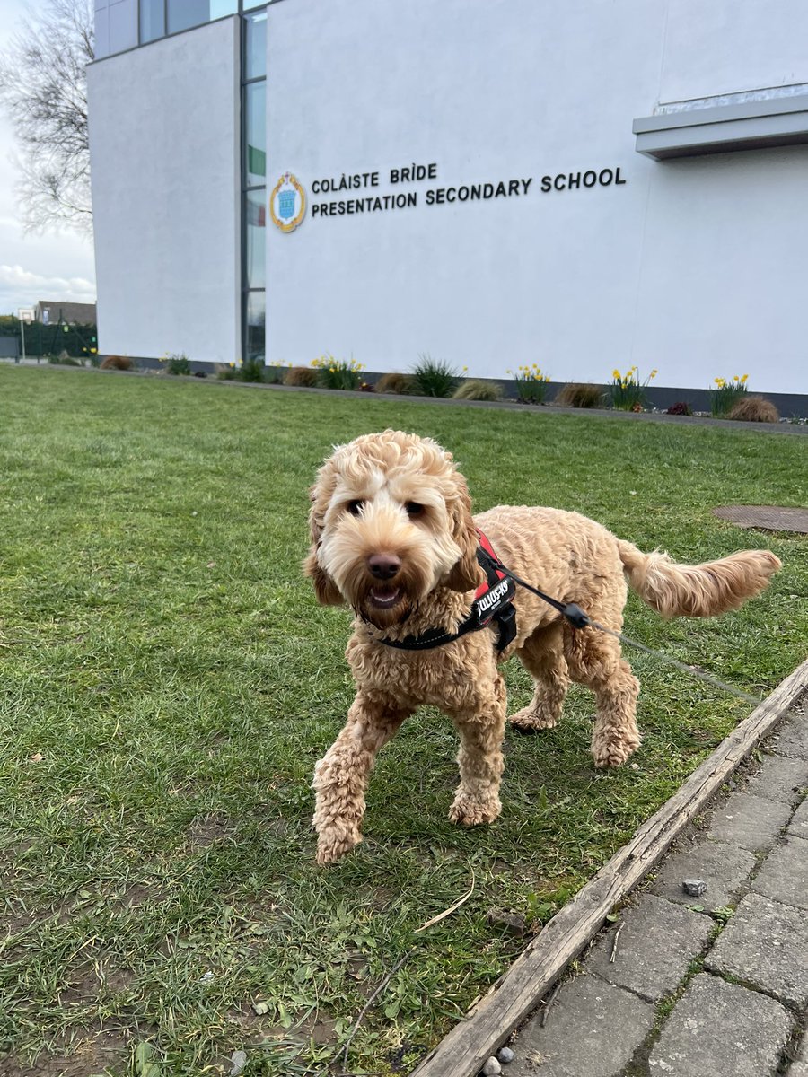 Ms Walsh tweet media