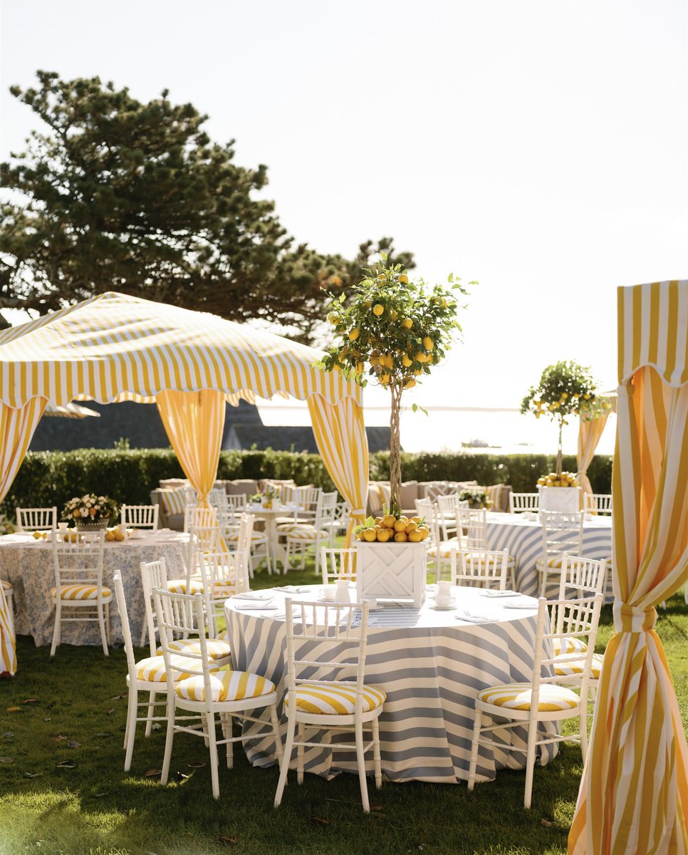 HMR Designs tweet media