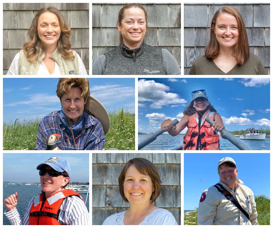 AudubonCamp's tweet photo. Happy #InternationalWomensDay to all the talented people that make Hog Island special!  We're proud to have you on our team.  #IWD2023 #AudubonCamp #Audubon #WomensDay #BirdConservation #WomeninScience #Birdwatching https://t.co/41CyYzJfhx