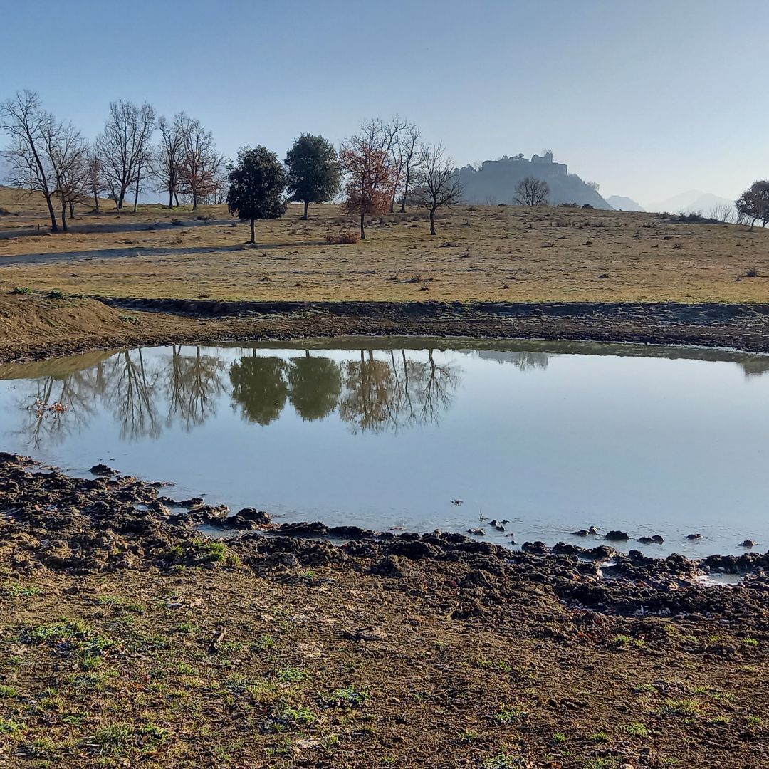 GECA_84's tweet image. Última sortida de la Secció Muntanya als castells de Montesquiu i Besora (Osona), unes vistes espectaculars! 😎
La propera serà a Sortida a La Costa : Blanes- Lloret (La Selva) 🌊

Anima't! 

#gecamuntanya #excursionisme #senderisme #geca #muntanya #grupexcursionista