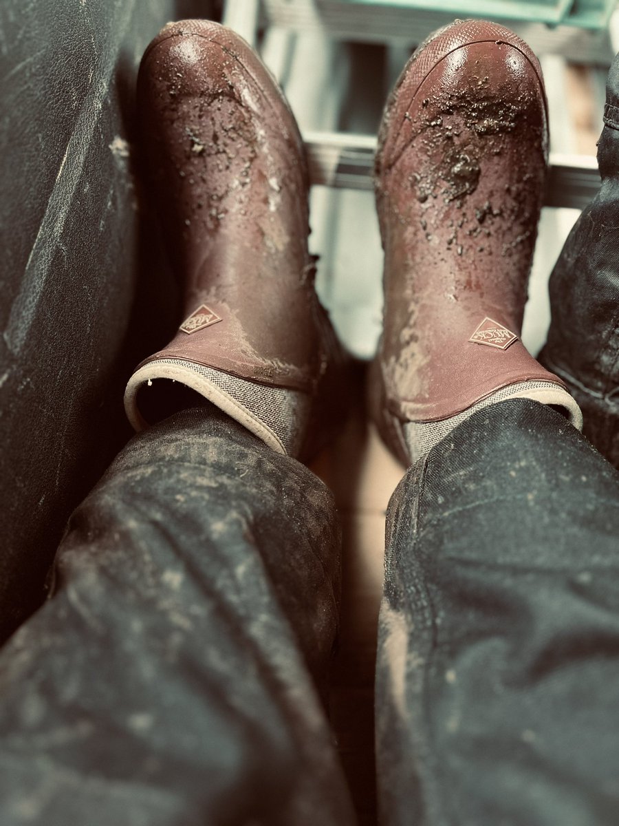 A shout out to all Professional Women #Gardeners/ #Horticulturalists on #InternationalWomansDay2023 on a thoroughly sleety, cold and nasty day. 

Who work all year with skill, stamina, brute force, perseverance, vision, curiosity. Have an in depth plant knowledge &amp; people skills.