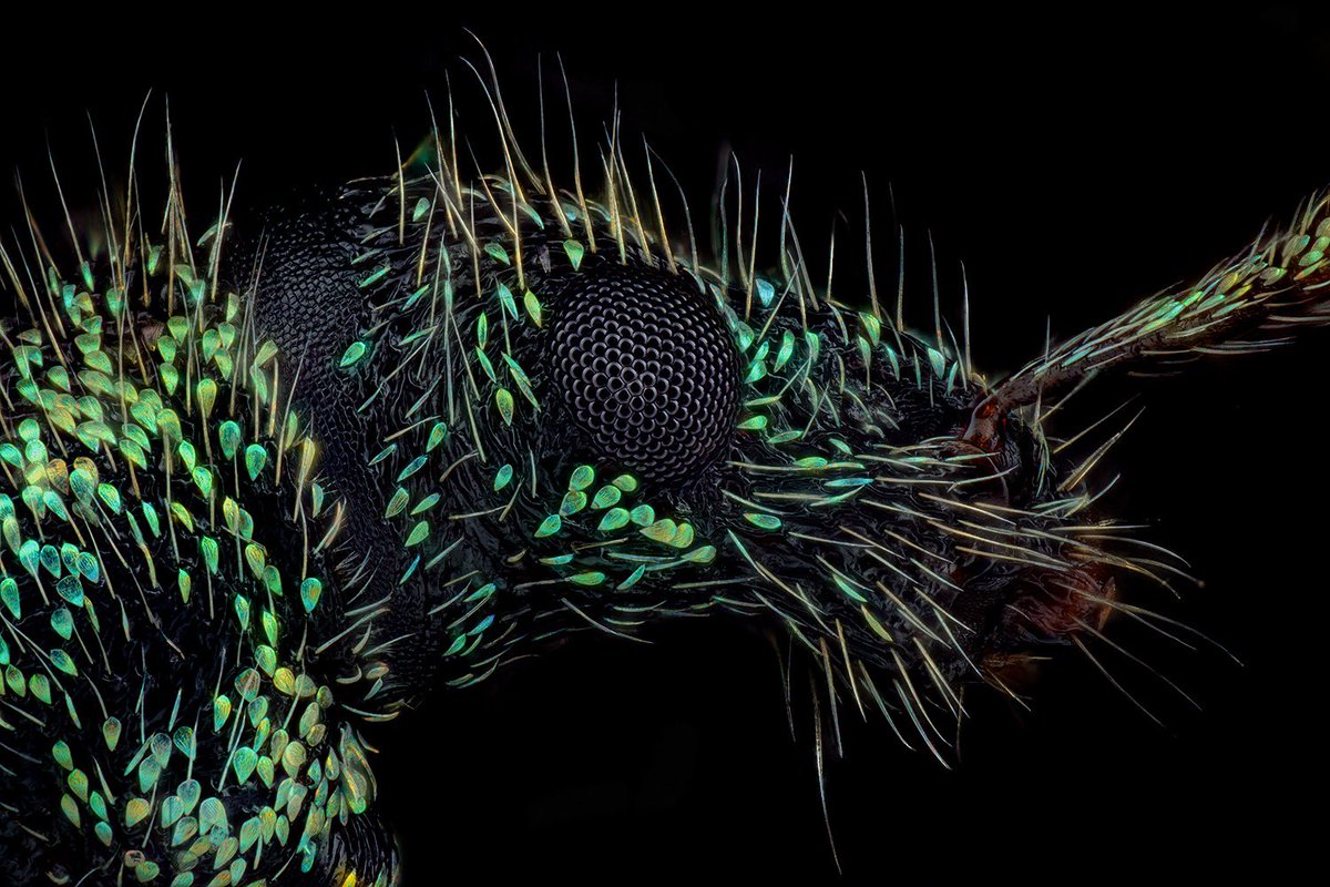 Thorben Danke tweet media