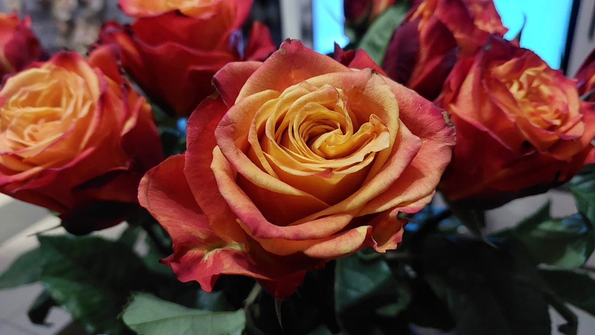 Милые девочки, девушки, женщины !!!

С праздником вас !!! Мира и любви в ваши дома !!!