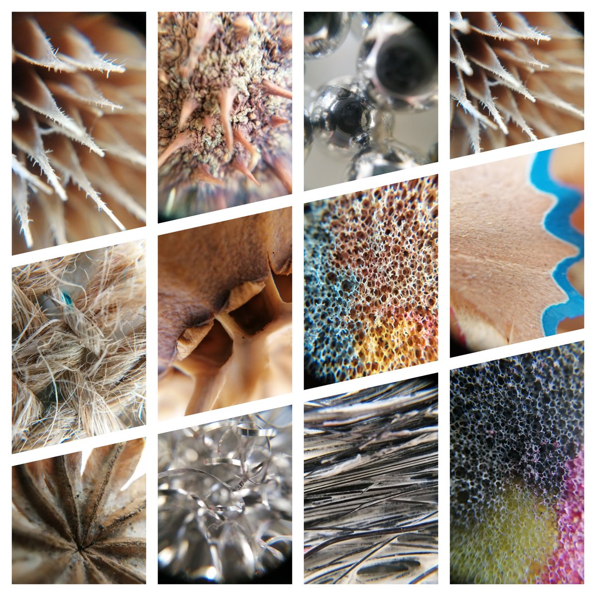 Just a small sample of the remarkable macro photography exploring everyday objects by year 7 #macrophotography #explore