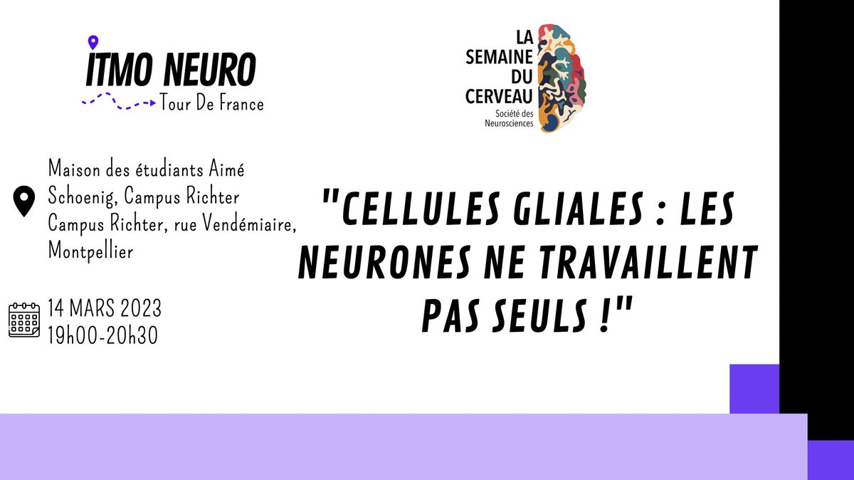 Nous quittons à présent Marseille pour #Montpellier et une conférence sur les cellules gliales. #SDC2023 

Présentation : Hélène Hirbec et Florence Perrin
+info➡️ semaineducerveau.fr/manifestation/…