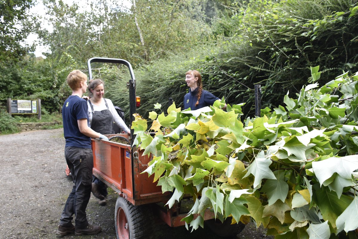NTinBath's tweet photo. Let's give a shout out to Prior Park's all-women gardening team this #InternationalWomensDay. Supported by fantastic volunteers, they’ve worked hard over the last year to reinstate the garden following the #DamsProject.
#IWD2023 #GardeningTwitter https://t.co/S5hnmVSJfE