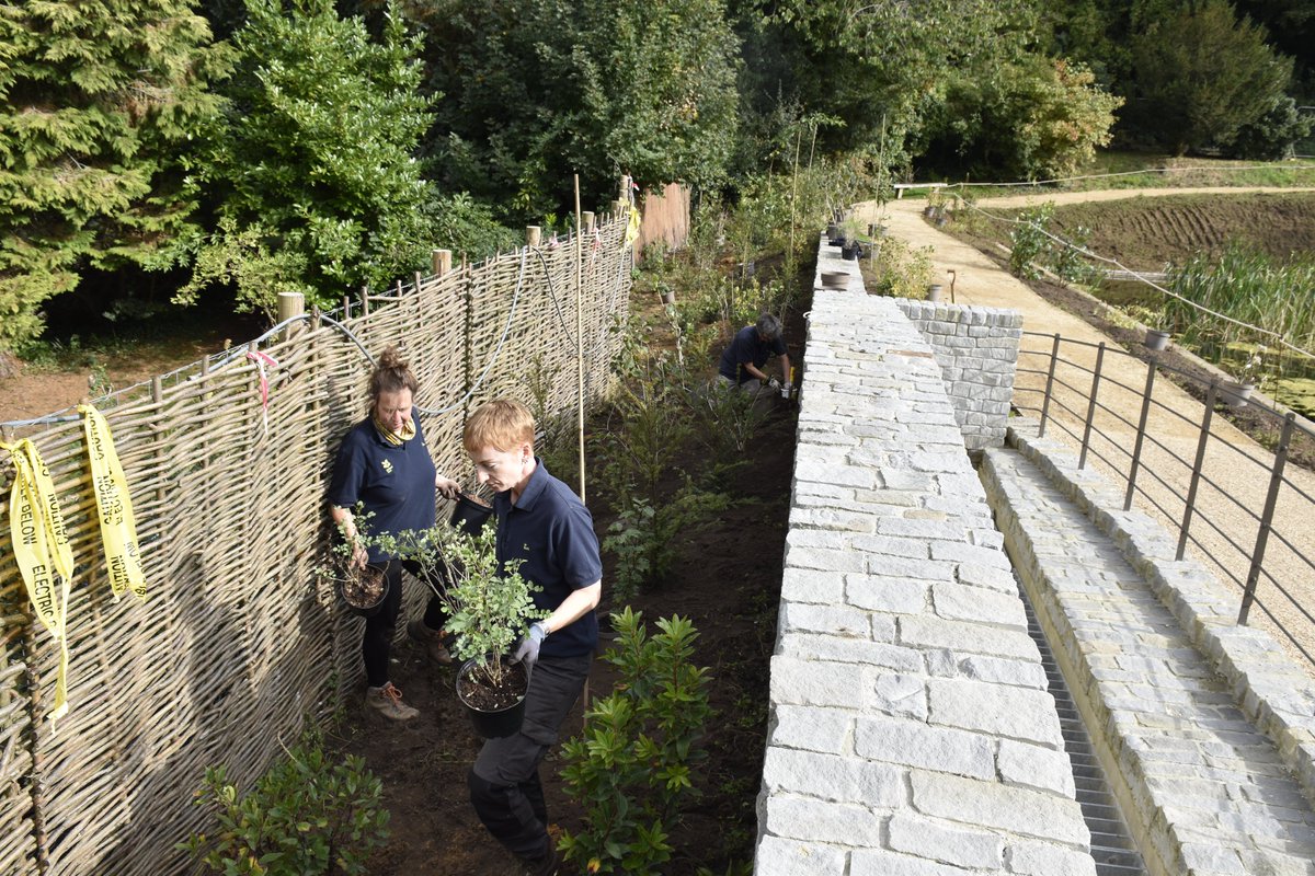 NTinBath's tweet photo. Let's give a shout out to Prior Park's all-women gardening team this #InternationalWomensDay. Supported by fantastic volunteers, they’ve worked hard over the last year to reinstate the garden following the #DamsProject.
#IWD2023 #GardeningTwitter https://t.co/S5hnmVSJfE