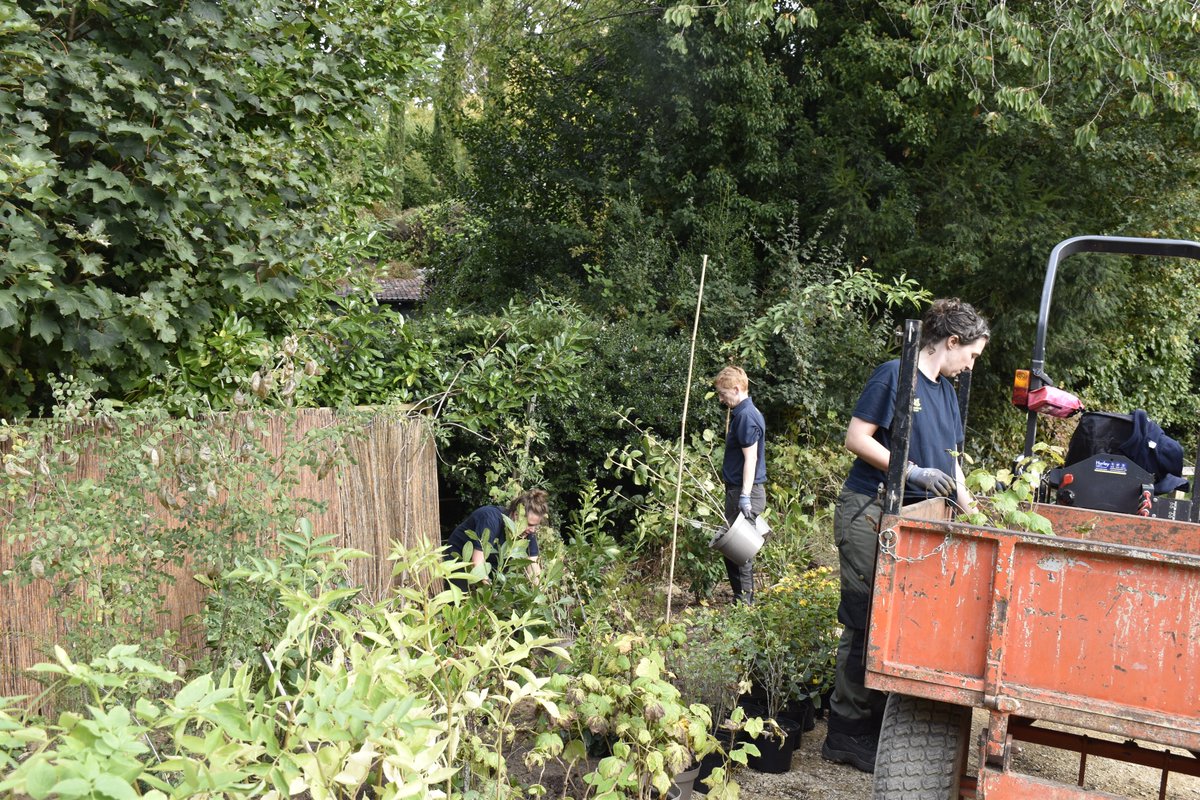 NTinBath's tweet photo. Let's give a shout out to Prior Park's all-women gardening team this #InternationalWomensDay. Supported by fantastic volunteers, they’ve worked hard over the last year to reinstate the garden following the #DamsProject.
#IWD2023 #GardeningTwitter https://t.co/S5hnmVSJfE