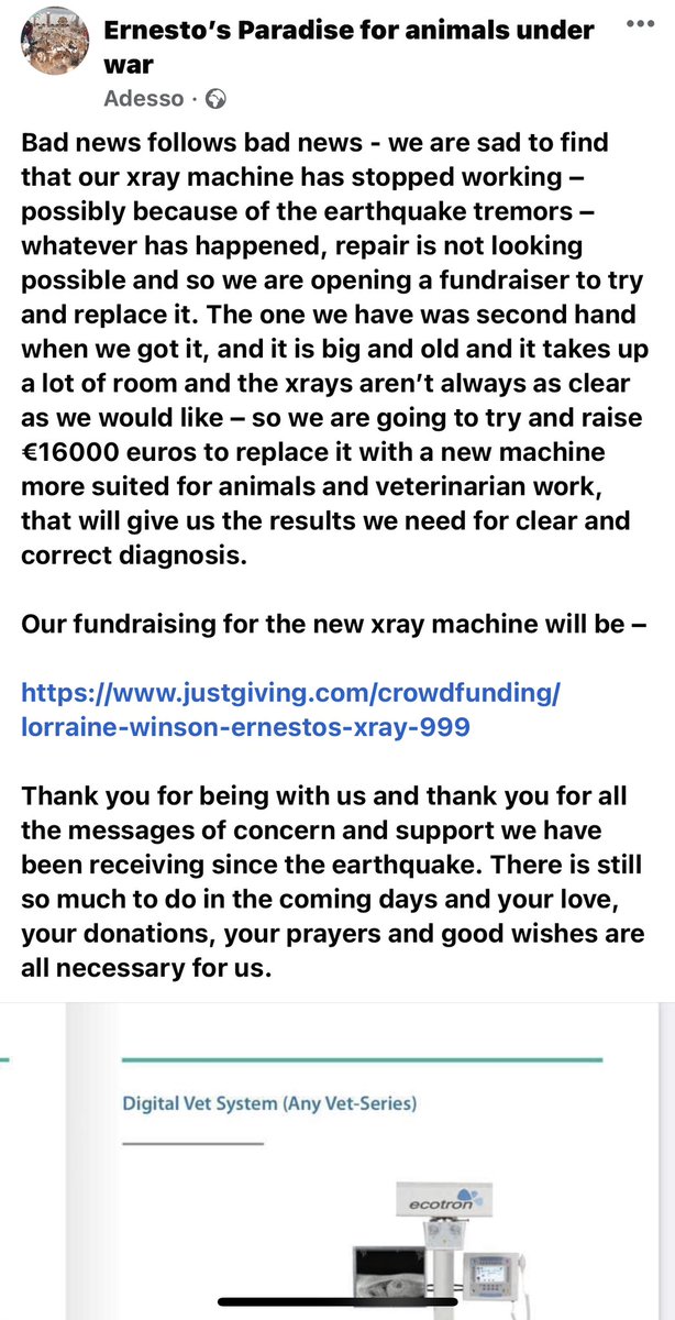 Ernesto’s Sanctuary for Syrian Cats tweet media