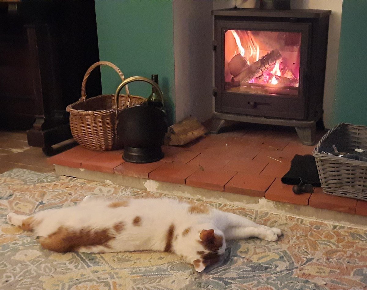 ChasBlackUK's tweet image. The cat heard it was blowing a blizzard  outside #notbothered
