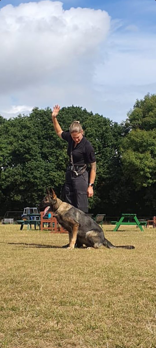 Happy #InternationalWomensDay. PD Goose and I have got some time off work, so we are making the most of some down time together. #girlpower #policewoman #doghandler #gsd #policedog