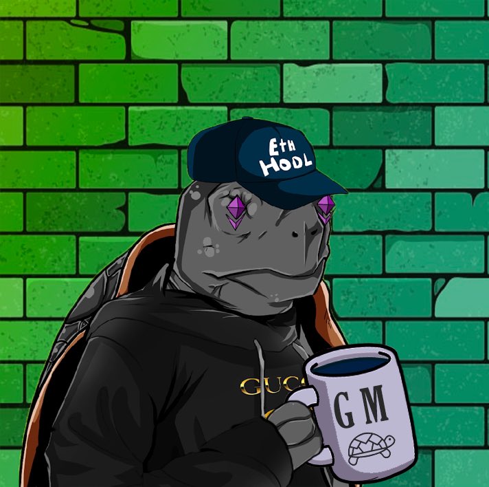 teachemturtles's tweet photo. GOOOODMORNING 🐢🥺

If you didn’t go as hard you could yesterday … well here’s your second chance . Make today a success . 🐢🖤

P.S come get verified for your WL &amp; OG passes in the discord 😉🐢 https://t.co/kyLKm3Kuy5